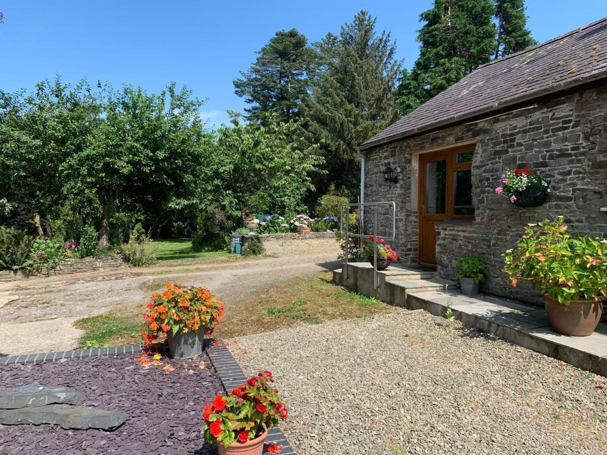 Llanarth  Parc Farm B&B מראה חיצוני תמונה