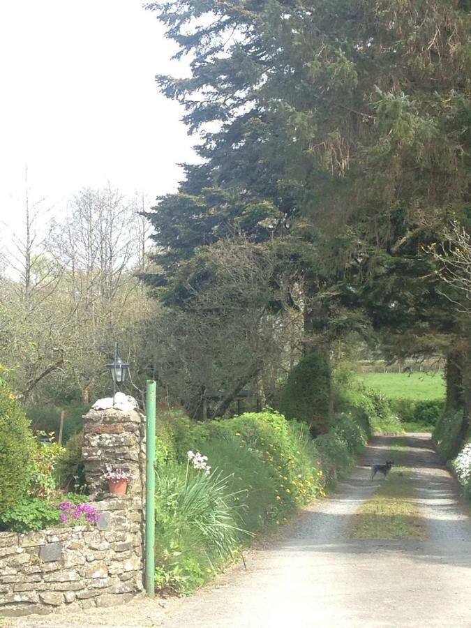 Llanarth  Parc Farm B&B מראה חיצוני תמונה